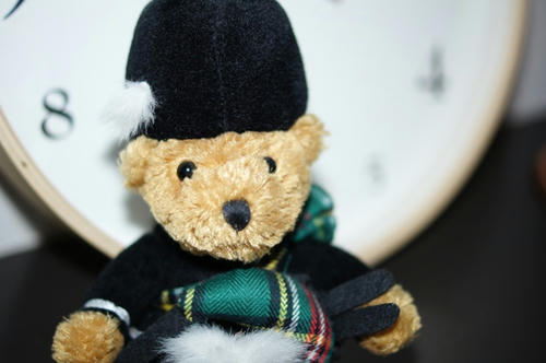 bear1.jpg
