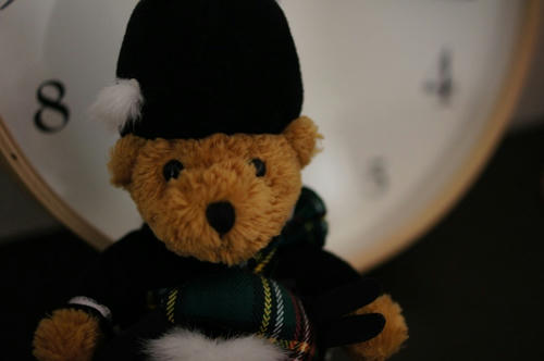 bear3.jpg