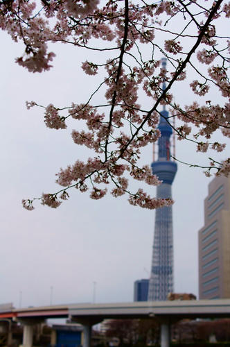 DSC01666.JPG