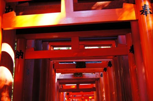 inari6.jpg