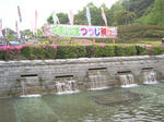 IMGP1496_640.jpg