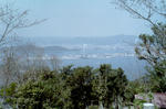 PICT0011_800.jpg