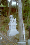 PICT0006_800.jpg