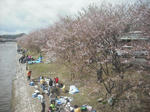 90a40797.jpeg