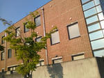SN3F0498.jpg