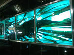 SN3F0502.jpg