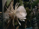 SN3F0581.jpg