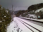 SN3F1039.jpg