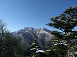 IMAG0012.jpg