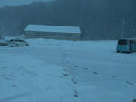 IMAG0021.jpg