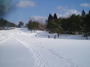 20110116xckidstre0003.jpg