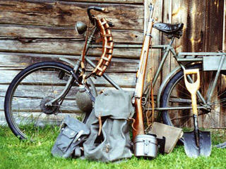 arm08_sweden