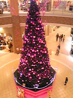 081110_181200.jpg