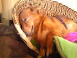 081114_180123.jpg