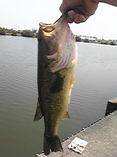 090615_105404.jpg