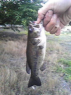 090629_062423.jpg
