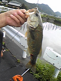 090810_142027.jpg