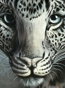 Leopard-Optical-Illusion1.jpg