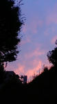 20090919175009.jpg