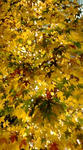 20091201172027.jpg