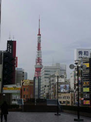 RIMG0529.JPG