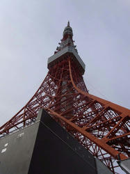 RIMG0542.JPG