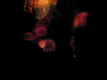 Fireflower1