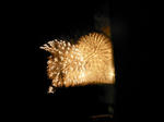 Fireflower4