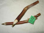 EucalyptusPenｓ