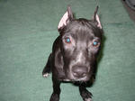 SCOON4month
