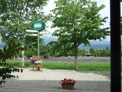 27b91f62.jpg