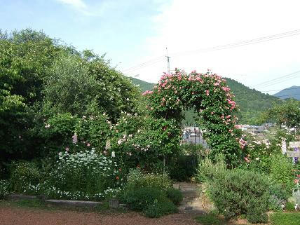 239cbf0b.jpg