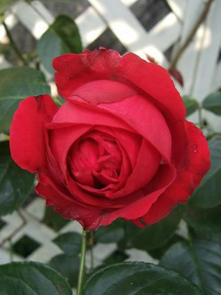 30b54f09.jpg