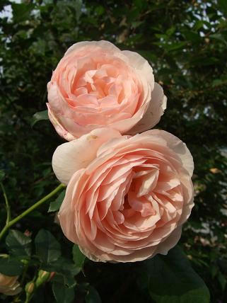 33f8aa79.jpg