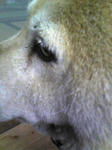 Image091_00.jpg