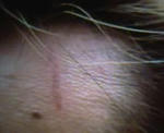 08-05-08_002.jpg