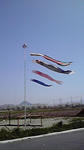 2009041113260000.jpg