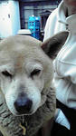 2010032409140000.jpg