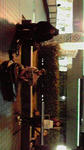 2010040921380000.jpg
