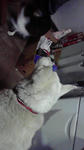 2010103019330000.jpg