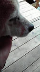 2010110914480000.jpg