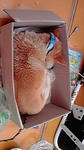 2010111412210000.jpg