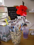 DSCN0533.JPG