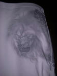 DSCN0508.JPG