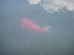 DSCN0638.JPG