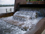 DSCN0642.JPG