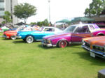 SANY0424.JPG