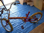 DSCN1426.JPG