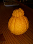 DSCN1557.JPG