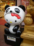DSCN1608.JPG